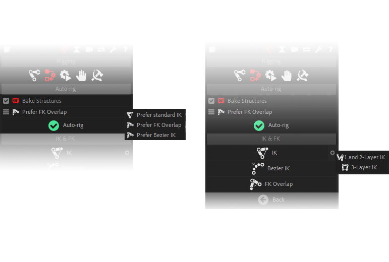Autorig additional panel
